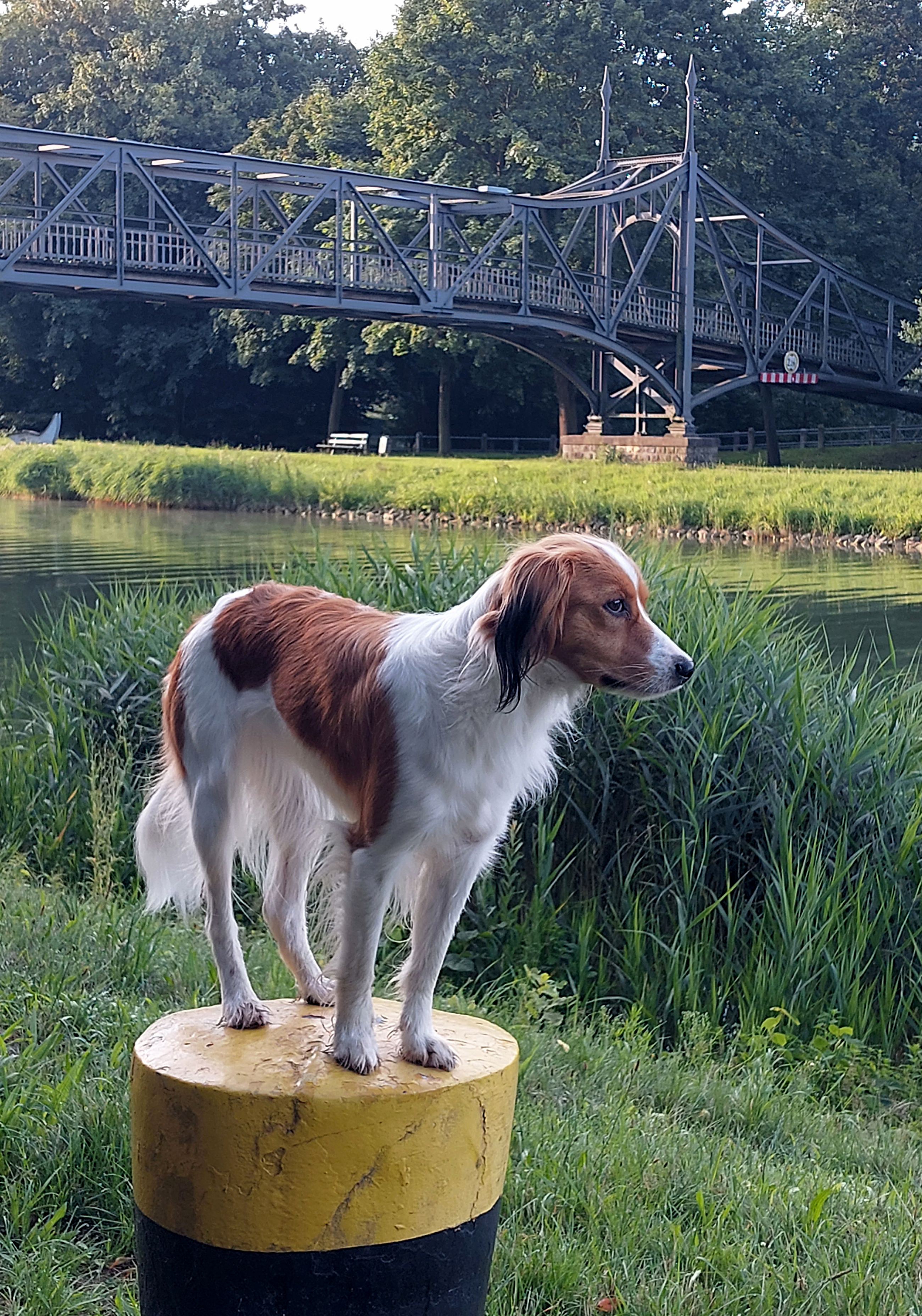 Letisha vom Torfmoorsee